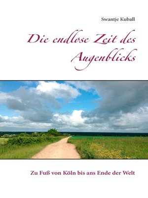 cover image of Die endlose Zeit des Augenblicks